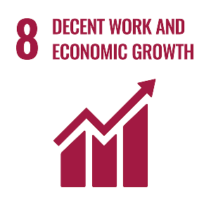 8 Decent work and economic growth