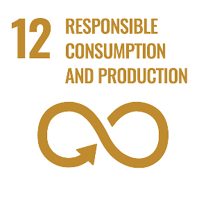12 Responsible cunsumption and production