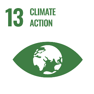 13 Climate action