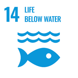 14 Life below water