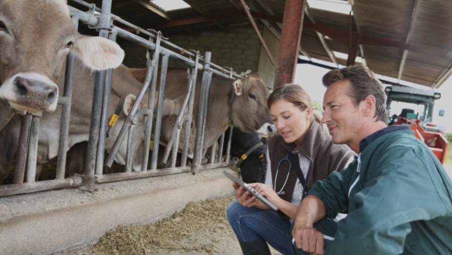 Cynomys: la prima startup italiana per la zootecnia di precisione raccoglie oltre 2 milioni di euro