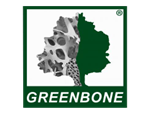 GreenBone Ortho SpA