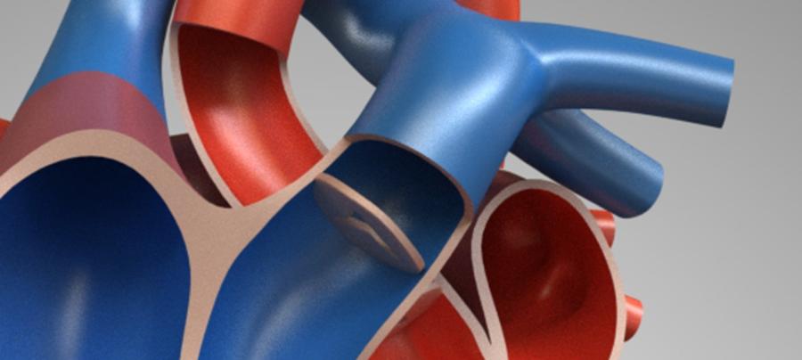 InnovHeart, startup MedTech specializzata in sostituzione della valvola mitrale con tecnologia transcatetere (TMVR), chiude un round Serie B per 20 milioni di euro