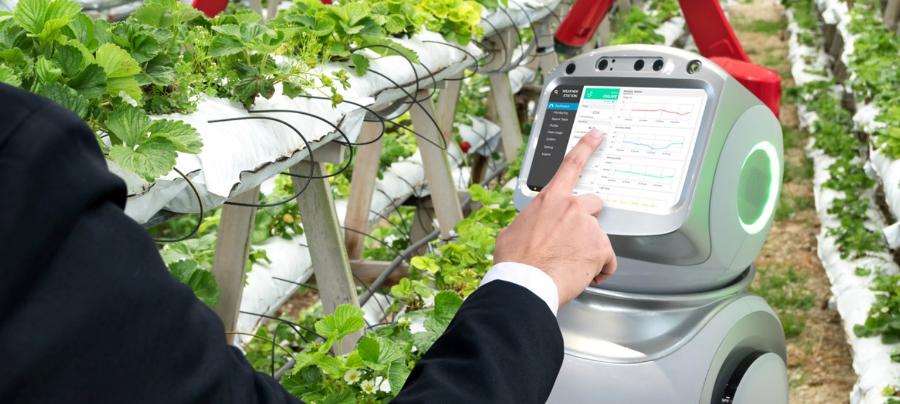 Seed per il Sud sostiene le startup del sud Italia ad alto potenziale in difficoltà per Covid-19